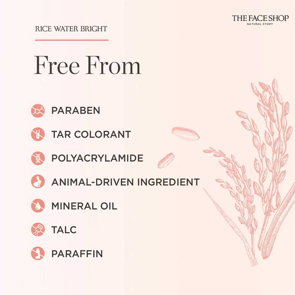 منظف الوجه المضيء بماء الأرز م - مراجعة Luxury Skincare Shop وسعره